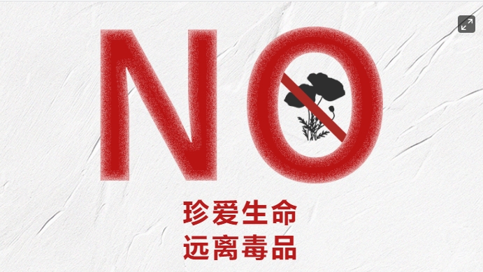 全民禁毒宣傳月 | “健康人生 綠色無(wú)毒”
